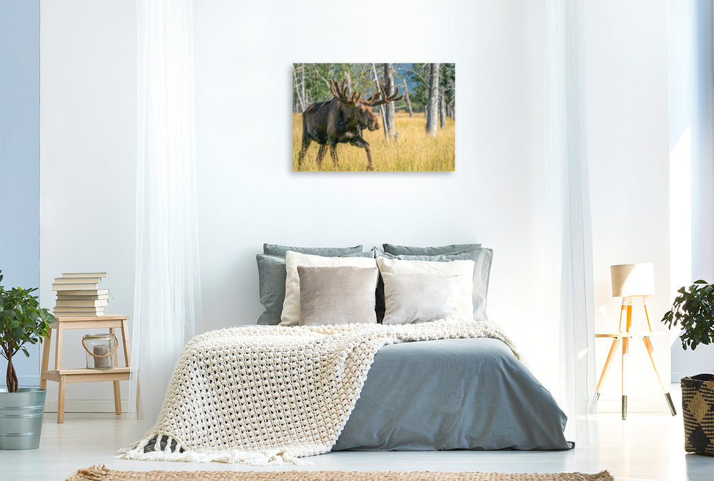 Premium textile canvas Premium textile canvas 120 cm x 80 cm landscape The star among Alaska's wild animals 