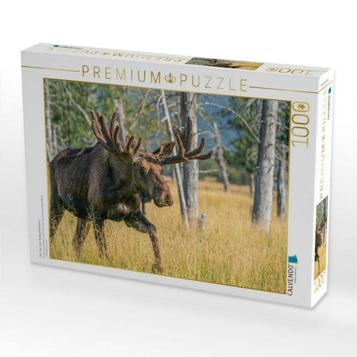 Der Star unter Alaskas Wildtieren - CALVENDO Foto-Puzzle'