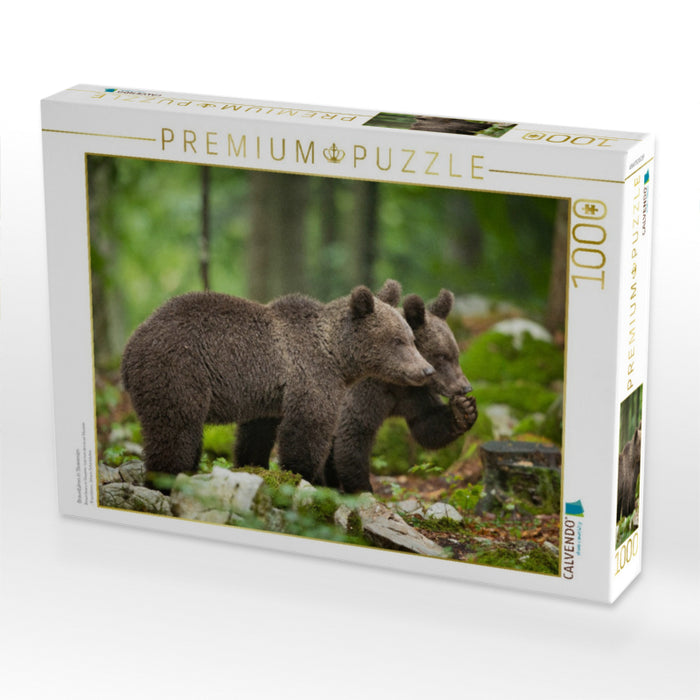 Braunbären in Slowenien - CALVENDO Foto-Puzzle'