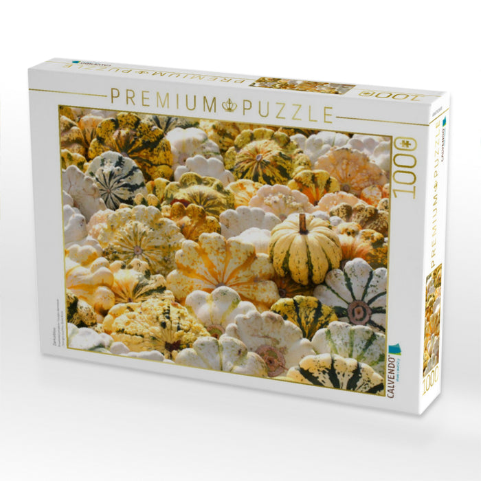 Zierkürbisse - CALVENDO Foto-Puzzle'