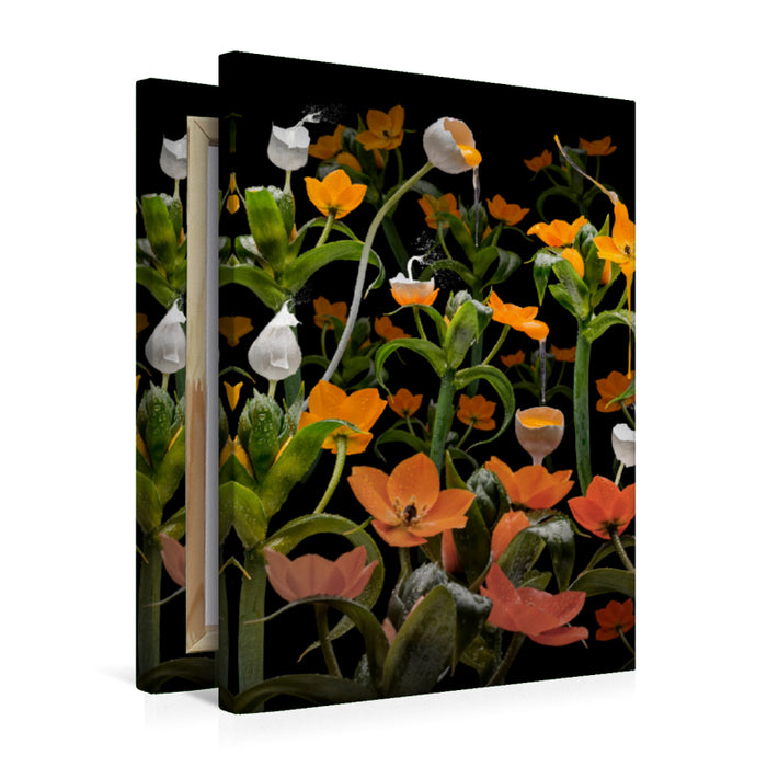 Premium Textil-Leinwand Caltha palustris
