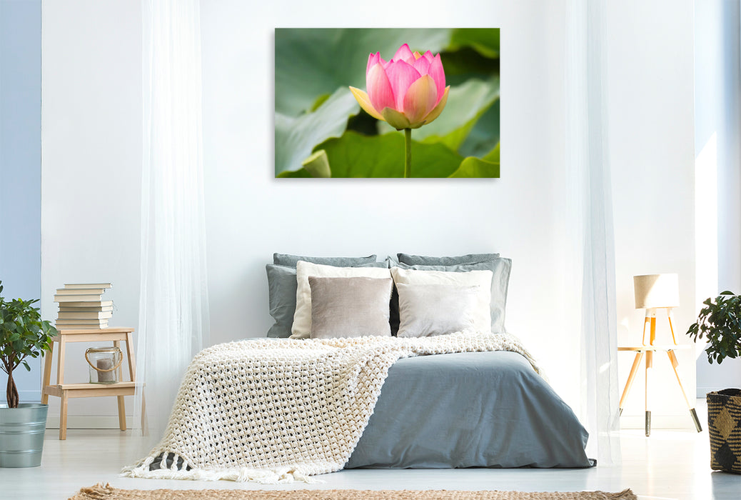 Premium textile canvas Premium textile canvas 120 cm x 80 cm landscape lotus flower 