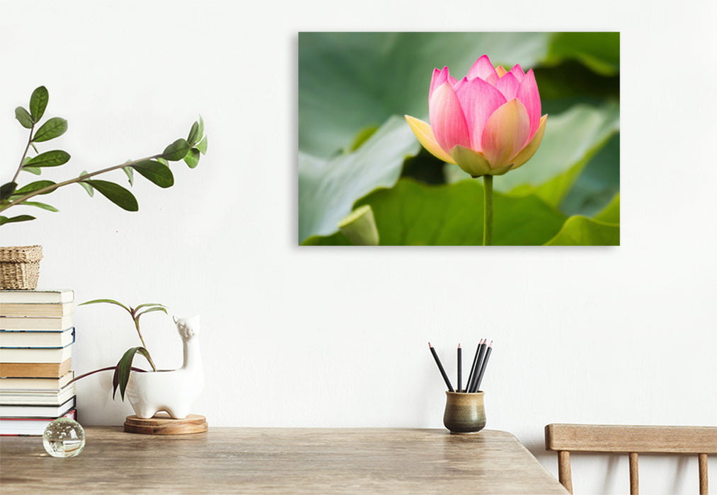 Premium textile canvas Premium textile canvas 120 cm x 80 cm landscape lotus flower 