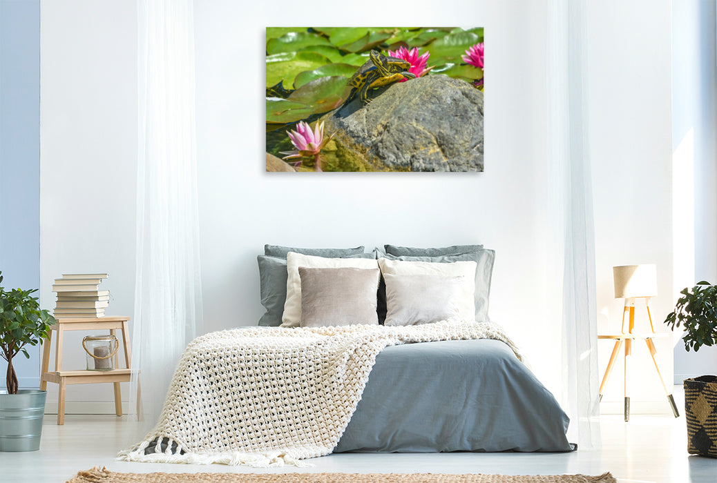 Premium textile canvas Premium textile canvas 120 cm x 80 cm landscape turtle with water lilies 