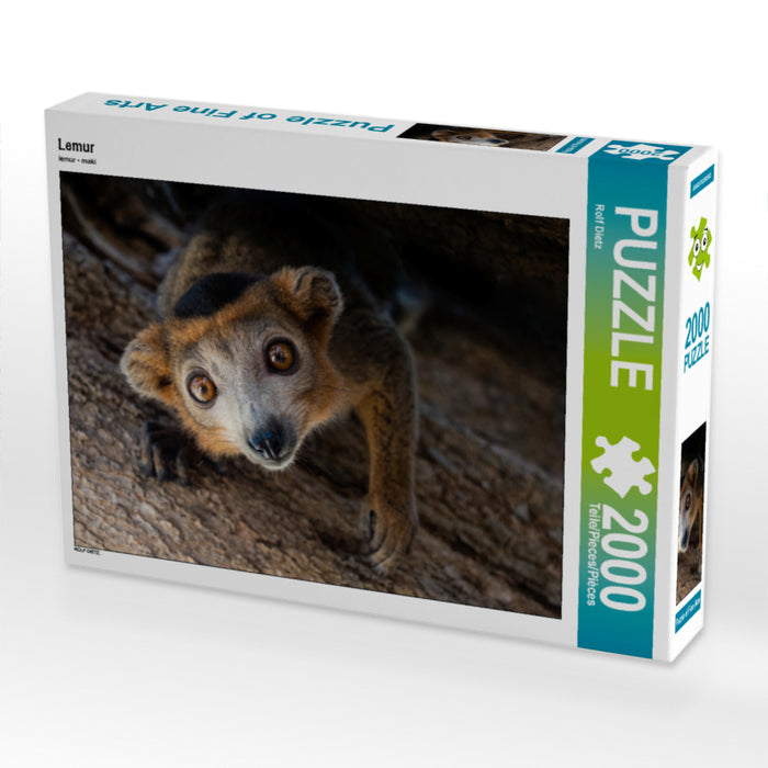 Lemur - CALVENDO photo puzzle 