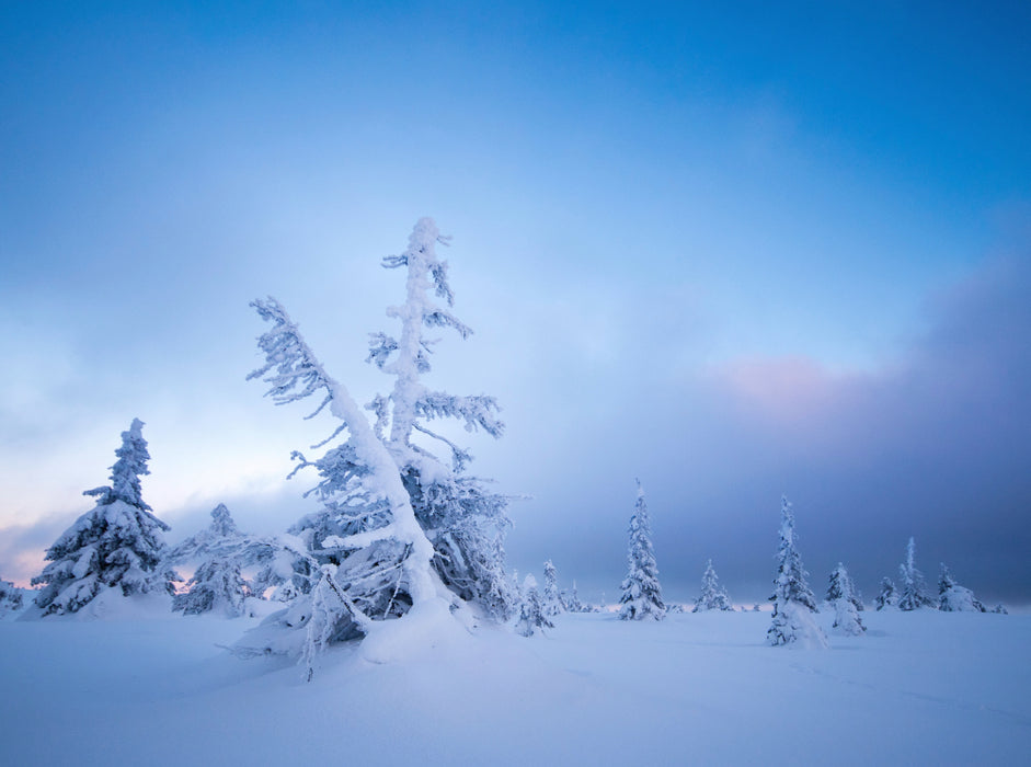 Ein Motiv aus dem Kalender Karelien - Winterwandern in Finnland 2000 Teile Puzzle quer - CALVENDO Foto-Puzzle'