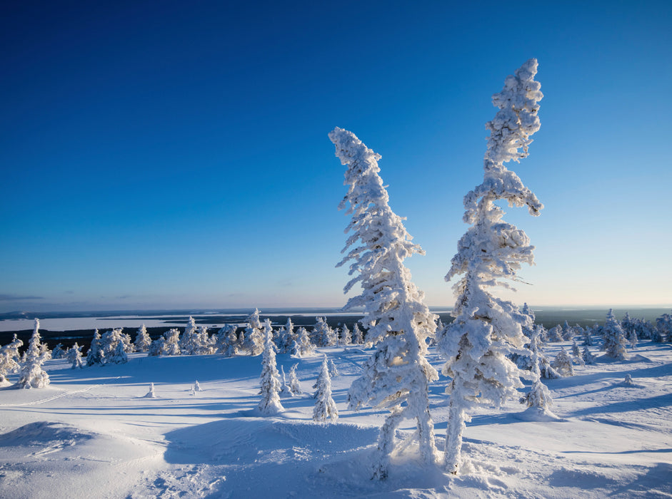 Cold snow in Karelia - CALVENDO photo puzzle 