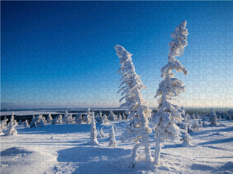 Cold snow in Karelia - CALVENDO photo puzzle 