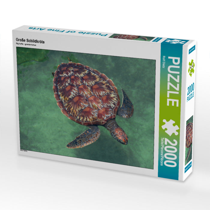 Large turtle - CALVENDO photo puzzle 