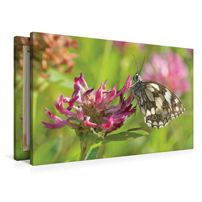Premium textile canvas Premium textile canvas 120 cm x 80 cm landscape checkerboard butterfly 