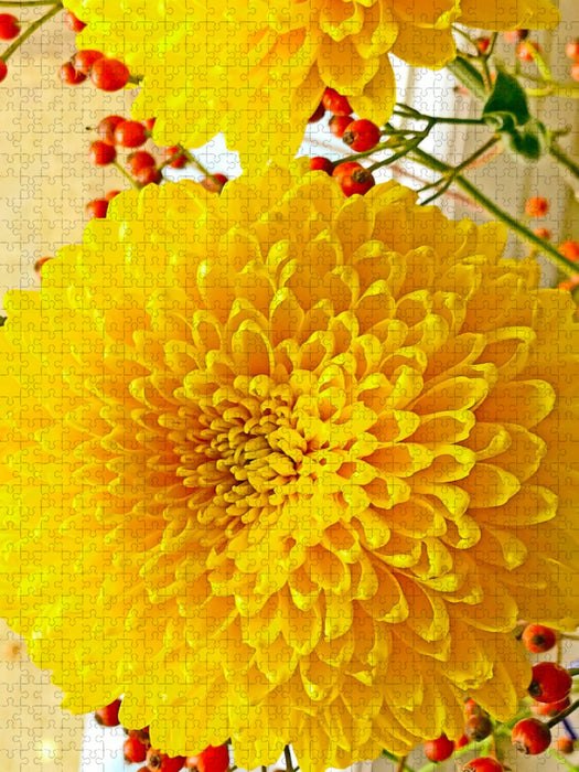 Gelbe Chrysanthemen - CALVENDO Foto-Puzzle'