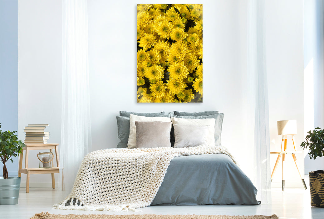 Premium Textil-Leinwand Premium Textil-Leinwand 80 cm x 120 cm  hoch Gelbe  Astern