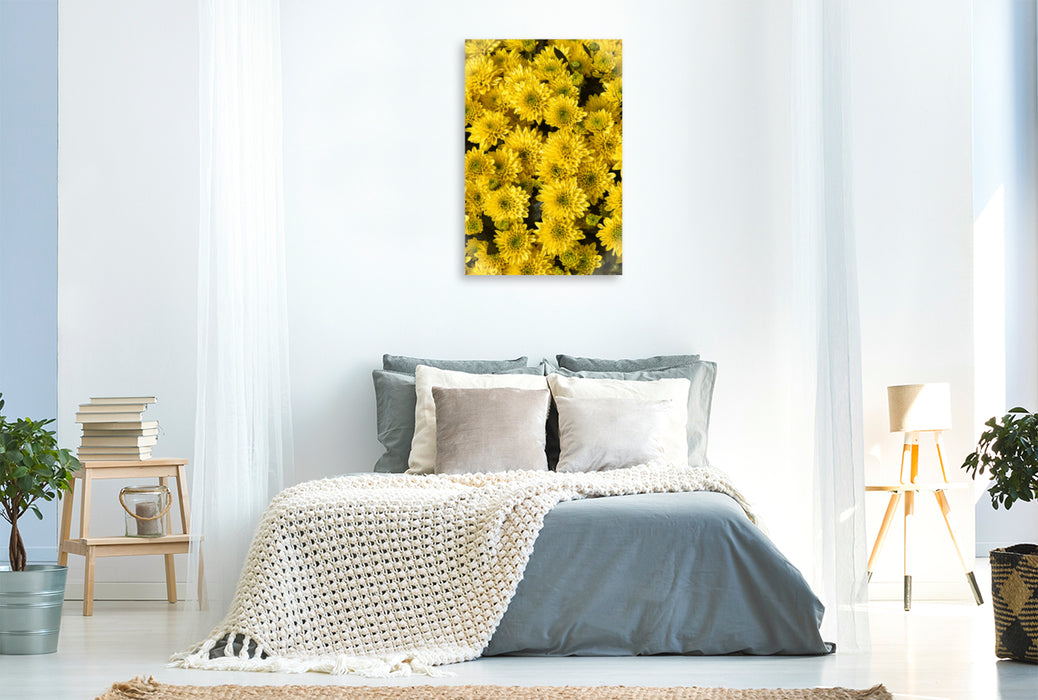 Premium textile canvas Premium textile canvas 80 cm x 120 cm high yellow asters 