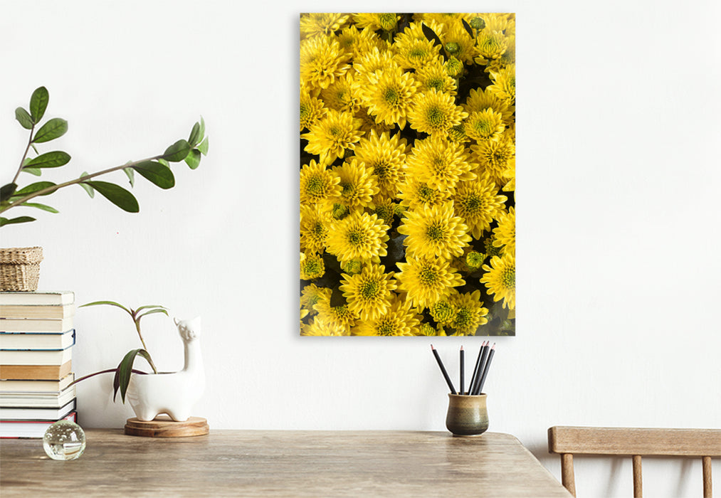 Premium textile canvas Premium textile canvas 80 cm x 120 cm high yellow asters 