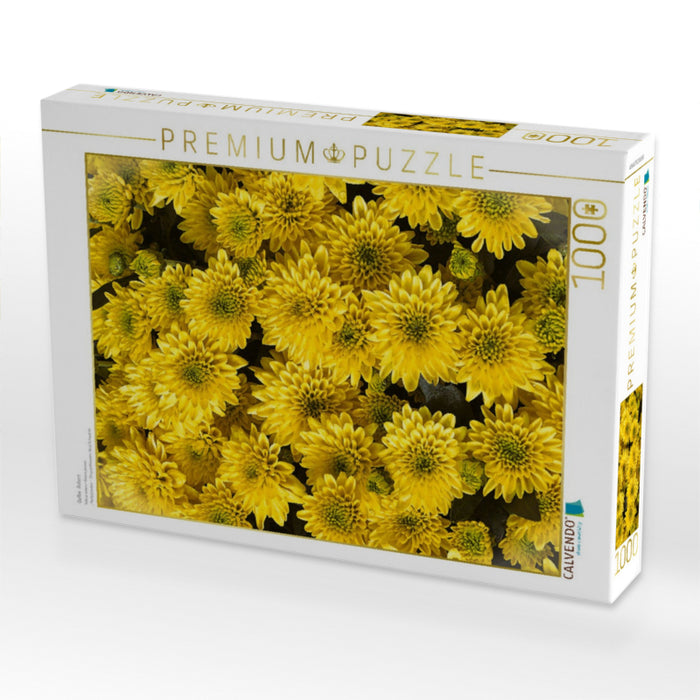 Gelbe Astern - CALVENDO Foto-Puzzle'