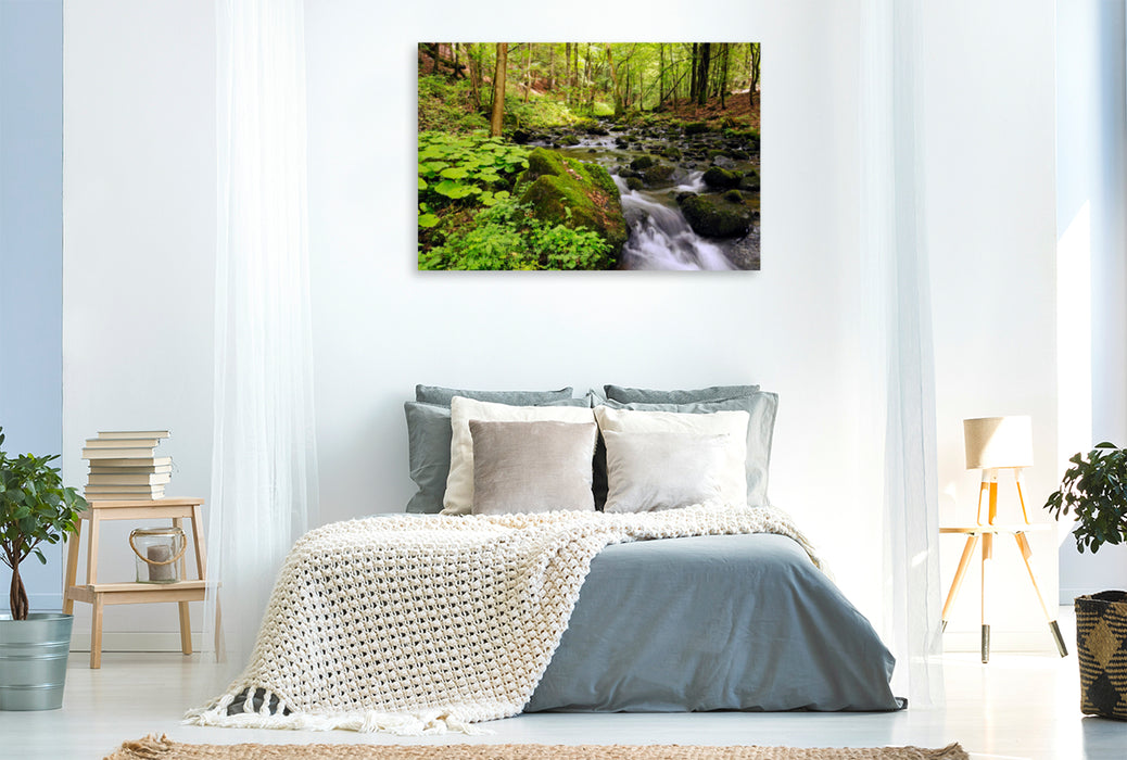 Premium textile canvas Premium textile canvas 120 cm x 80 cm across jungle in the Vessertal, Vessertal-Thuringian Forest biosphere reserve 