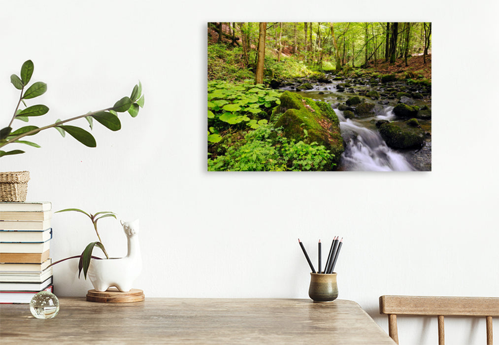 Premium textile canvas Premium textile canvas 120 cm x 80 cm across jungle in the Vessertal, Vessertal-Thuringian Forest biosphere reserve 