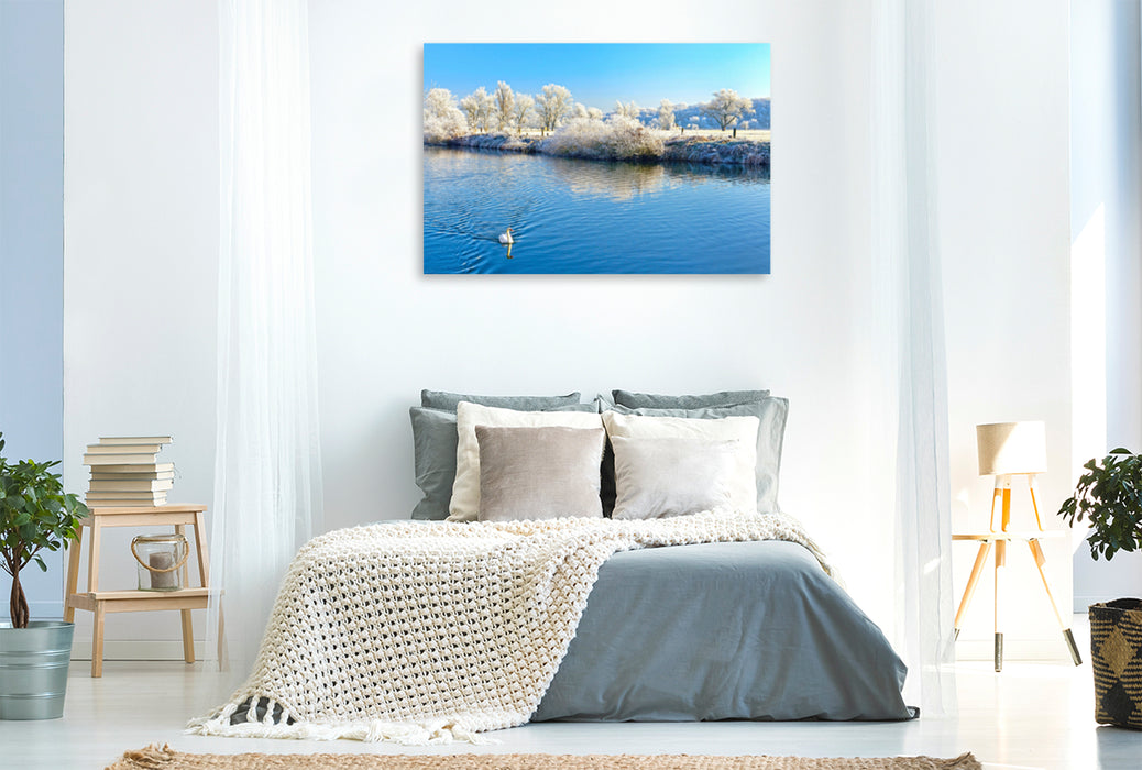 Premium textile canvas Premium textile canvas 120 cm x 80 cm landscape Swan on the Saale, Lower Saale Valley Nature Park 