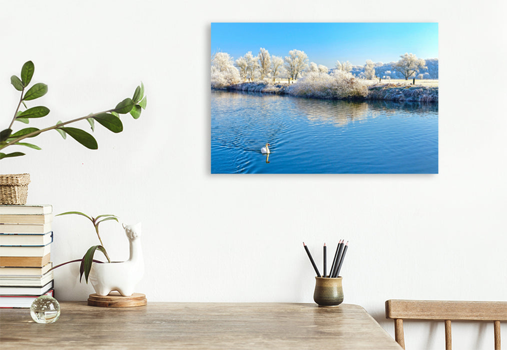 Premium textile canvas Premium textile canvas 120 cm x 80 cm landscape Swan on the Saale, Lower Saale Valley Nature Park 