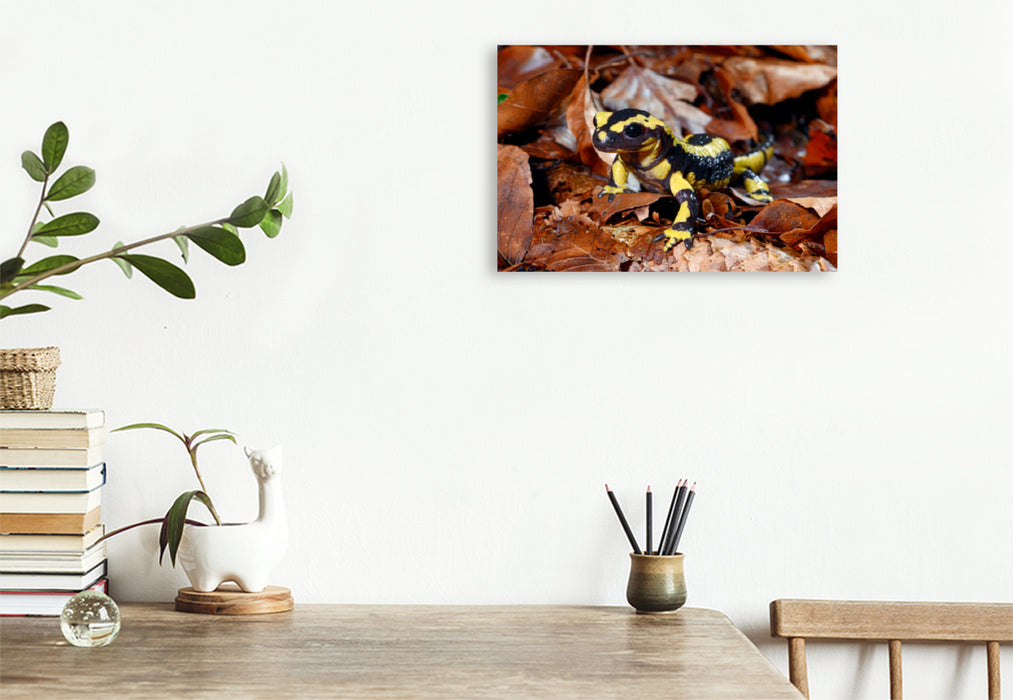 Premium textile canvas Premium textile canvas 120 cm x 80 cm landscape fire salamander 