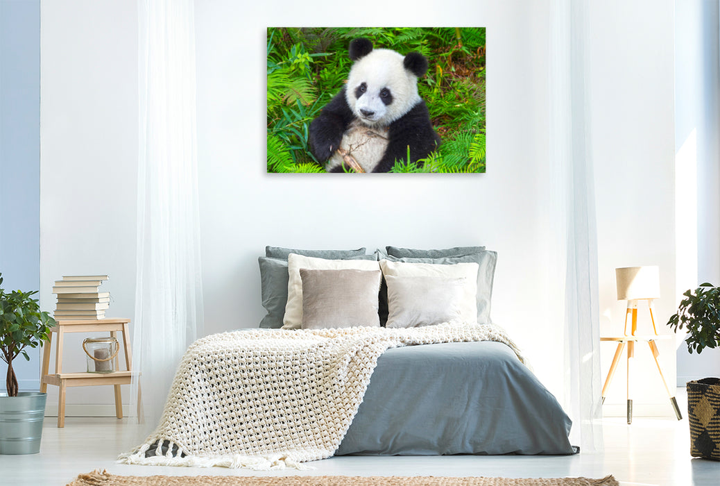 Toile textile haut de gamme Toile textile haut de gamme 120 cm x 80 cm paysage Un motif du calendrier Le Panda Géant Un compagnon câlin 