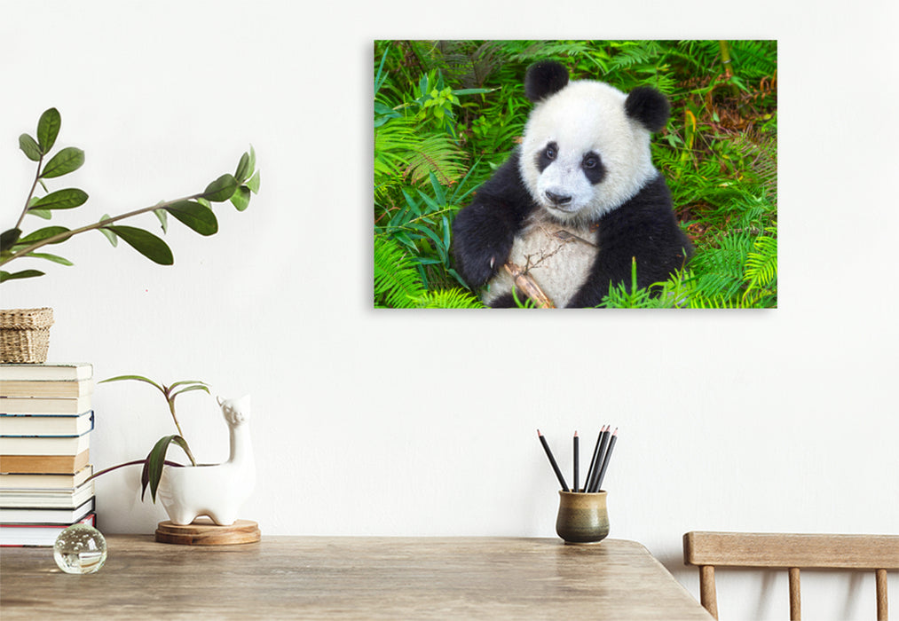 Premium Textil-Leinwand Premium Textil-Leinwand 120 cm x 80 cm quer Ein Motiv aus dem Kalender Der Große Panda Ein kuscheliger Geselle