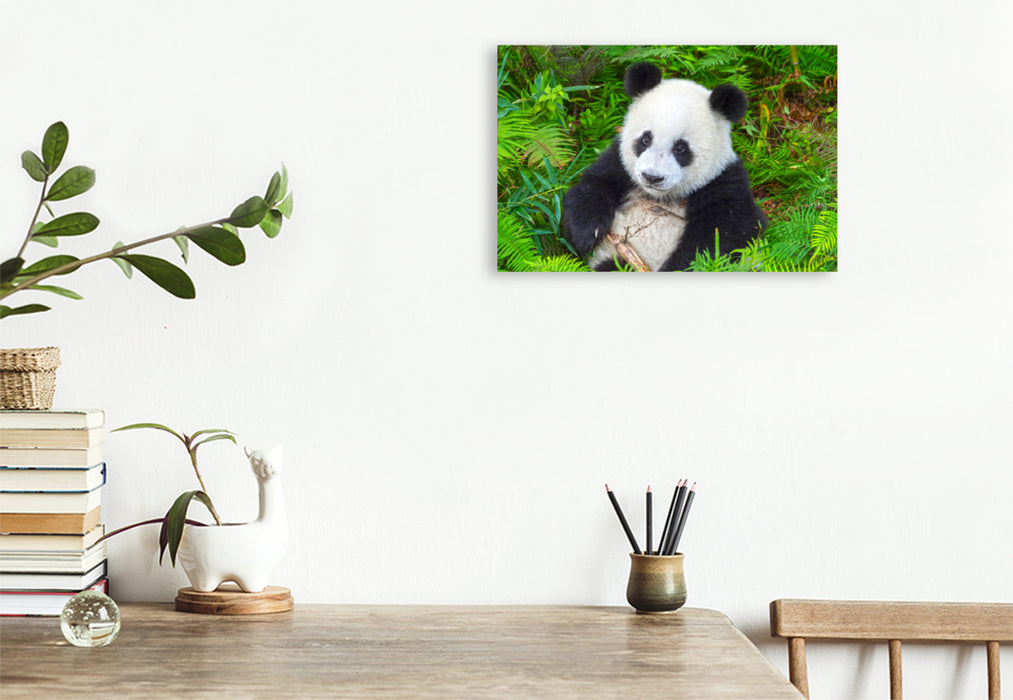 Premium Textil-Leinwand Premium Textil-Leinwand 120 cm x 80 cm quer Ein Motiv aus dem Kalender Der Große Panda Ein kuscheliger Geselle