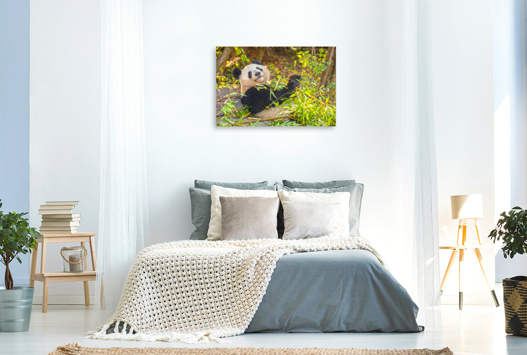 Toile textile haut de gamme Toile textile haut de gamme 120 cm x 80 cm paysage Un motif du calendrier Le Panda Géant Un compagnon câlin 