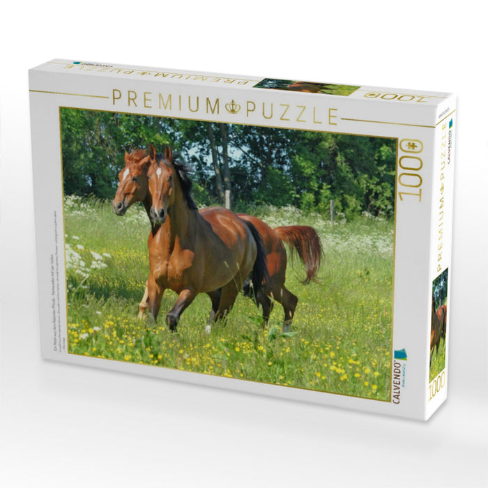 Ein Motiv aus dem Kalender Pferde - Kameraden mit vier Hufen - CALVENDO Foto-Puzzle'