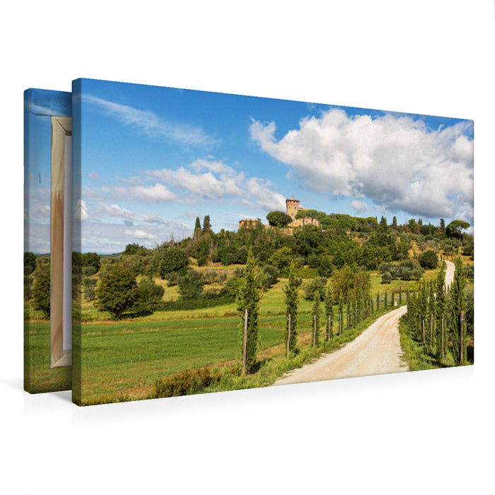 Premium Textil-Leinwand Zypressenallee
