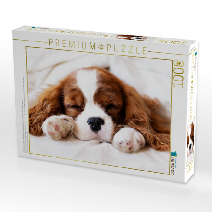 Ein Motiv aus dem Kalender Der Welpenkalender - Cavalier King Charles Spaniel - CALVENDO Foto-Puzzle'