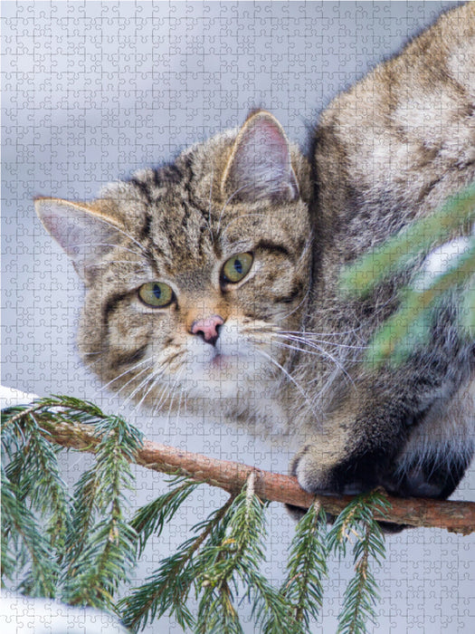 Europäische Wildkatze im Winter 1000 Teile Puzzle hoch - CALVENDO Foto-Puzzle'