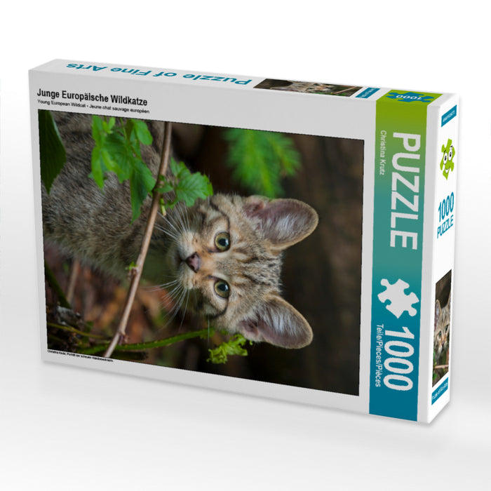 Junge Europäische Wildkatze 1000 Teile Puzzle hoch - CALVENDO Foto-Puzzle'