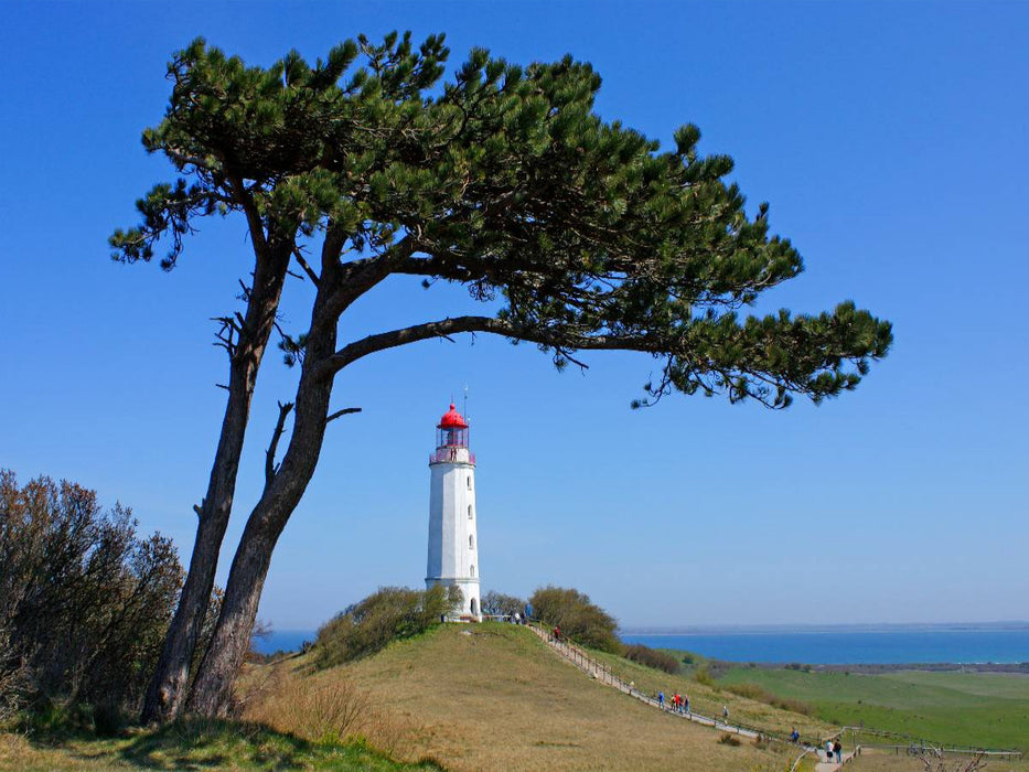 Leuchtturm, Insel Hiddensee - CALVENDO Foto-Puzzle'