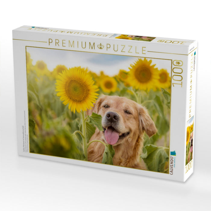 Golden Retriever im Sonnenblumenfeld - CALVENDO Foto-Puzzle'