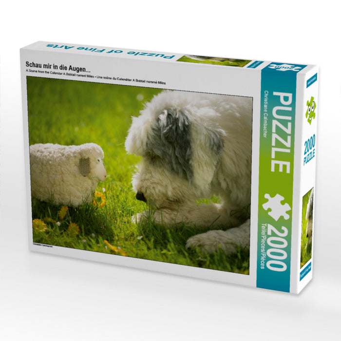 Schau mir in die Augen... 2000 Teile Puzzle quer - CALVENDO Foto-Puzzle'