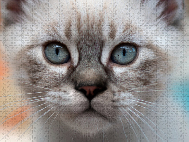I see you... - CALVENDO photo puzzle 
