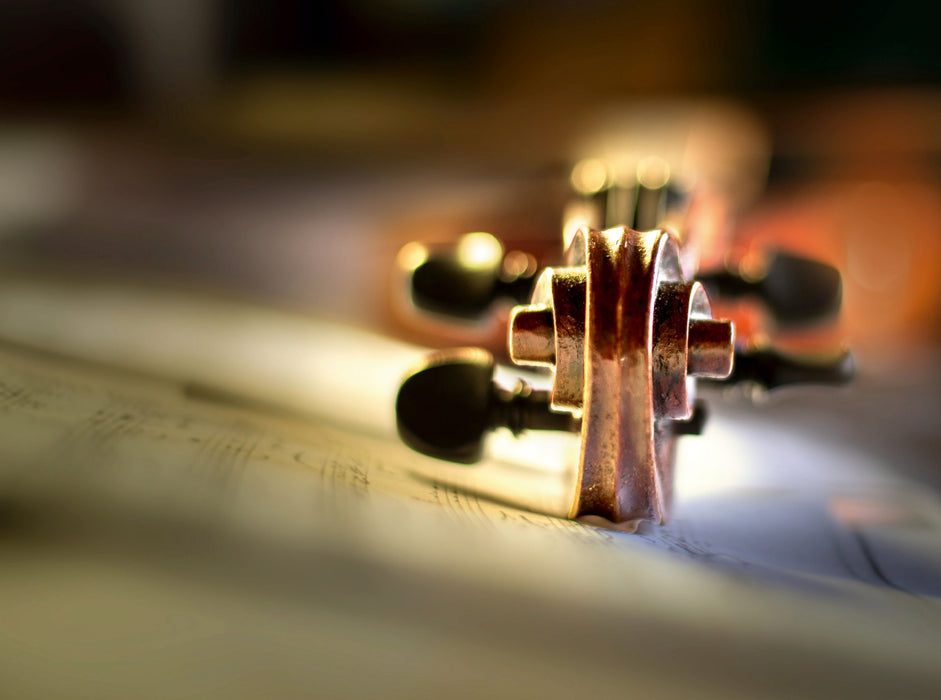 Escargot de violon - Puzzle photo CALVENDO 