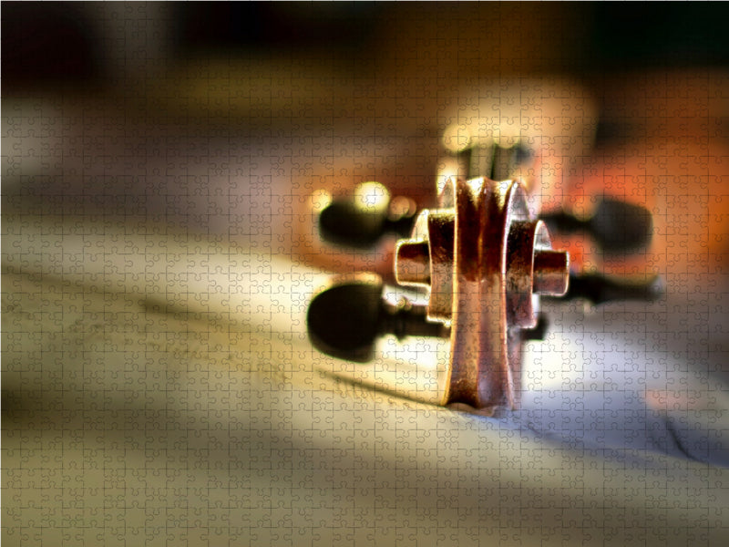 Escargot de violon - Puzzle photo CALVENDO 