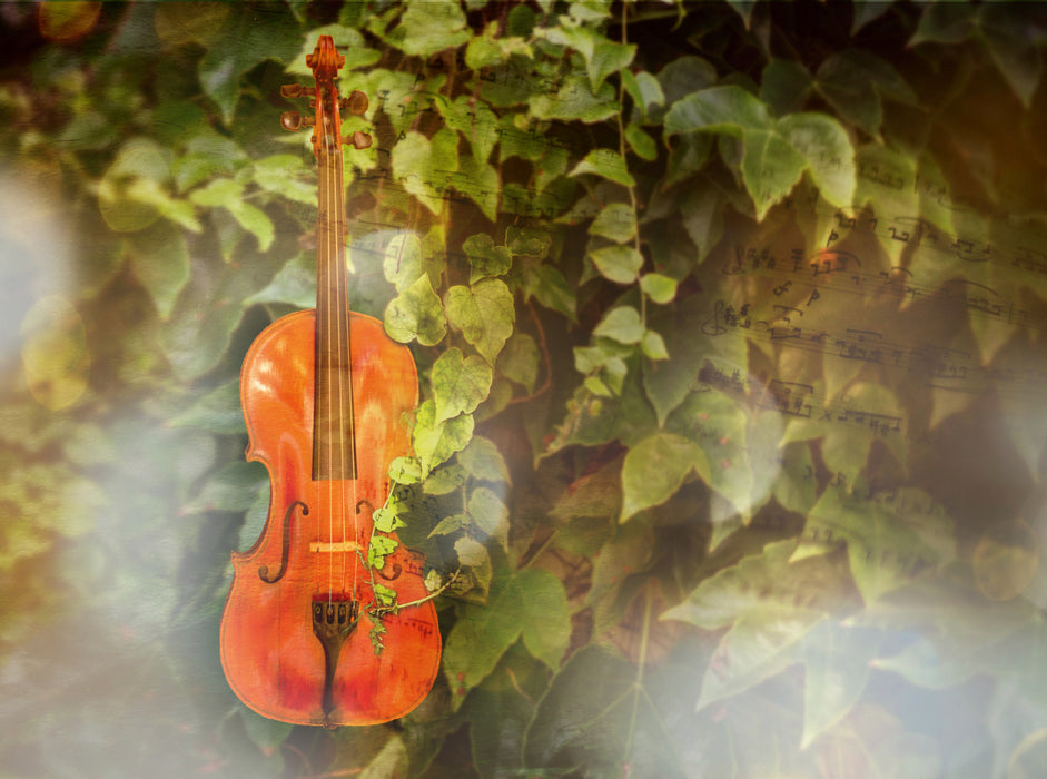 Violine im grünen 2000 Teile Puzzle quer - CALVENDO Foto-Puzzle'