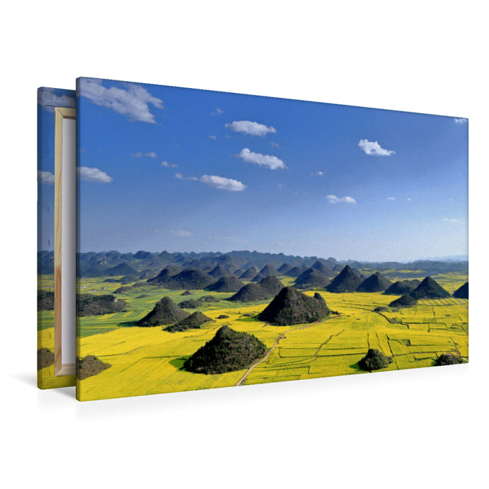 Premium Textil-Leinwand Wildes China