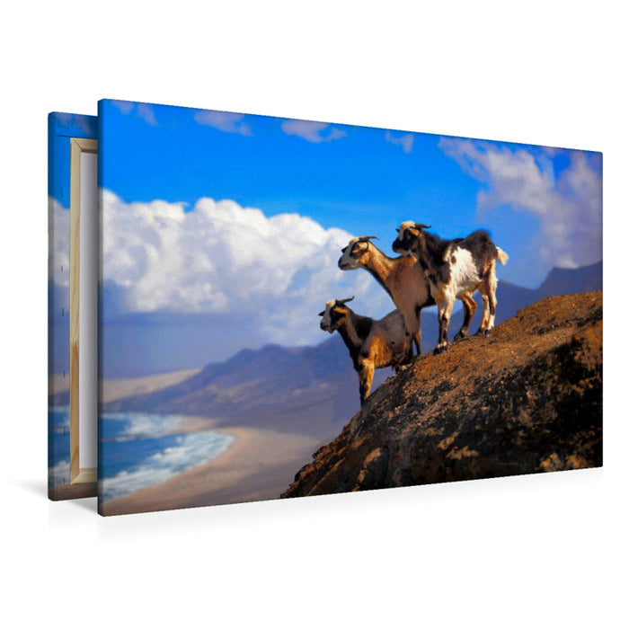 Premium Textil-Leinwand Cofete