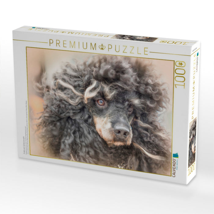 Pudel vom Winde verweht - CALVENDO Foto-Puzzle'