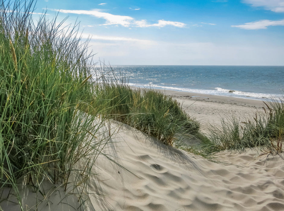 Düne mit Strandgras 2000 Teile Puzzle quer - CALVENDO Foto-Puzzle'