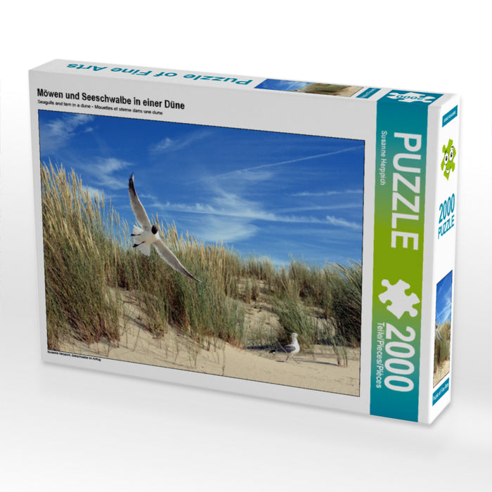 Möwen und Seeschwalbe in einer Düne 2000 Teile Puzzle quer - CALVENDO Foto-Puzzle'