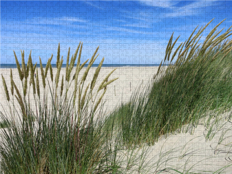 Strandhafer im Sommer 2000 Teile Puzzle quer - CALVENDO Foto-Puzzle'