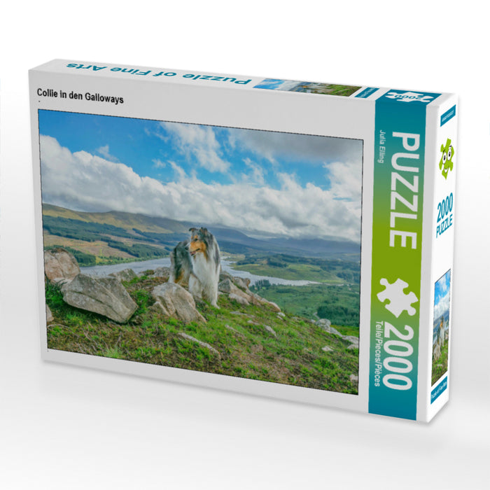 Collie in the Galloways - CALVENDO photo puzzle 