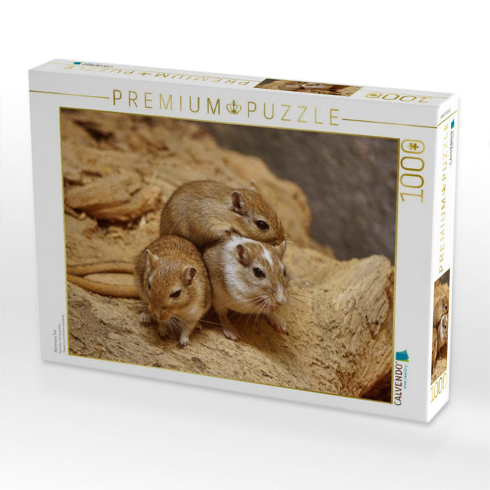Rennmaus Trio - CALVENDO Foto-Puzzle'