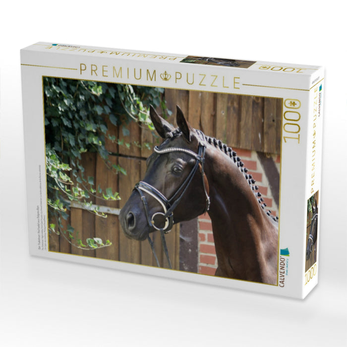 Der Trakehner. Hochadel aus Ostpreußen - CALVENDO Foto-Puzzle'