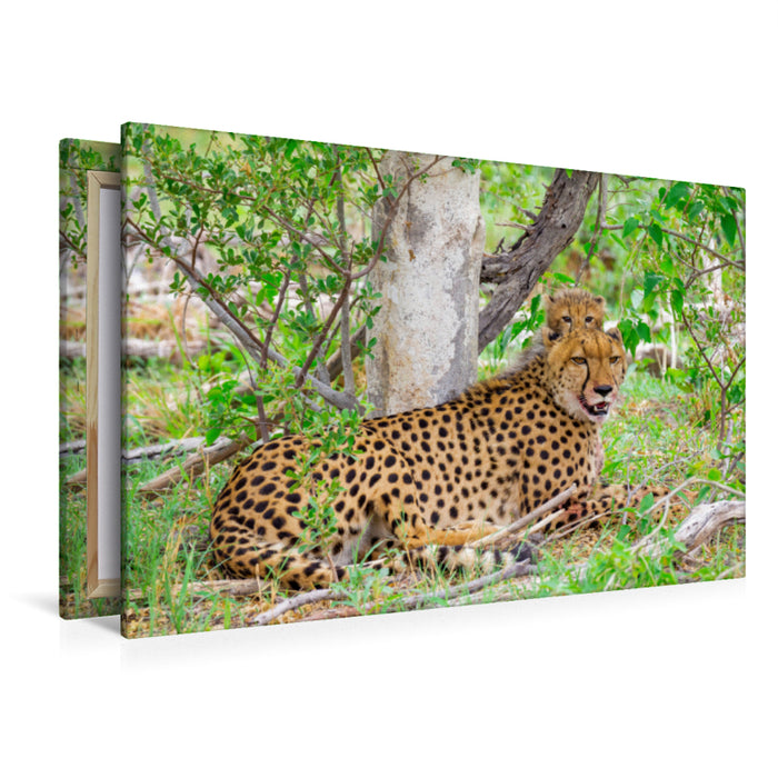 Premium Textil-Leinwand Gepard mit Nachwuchs